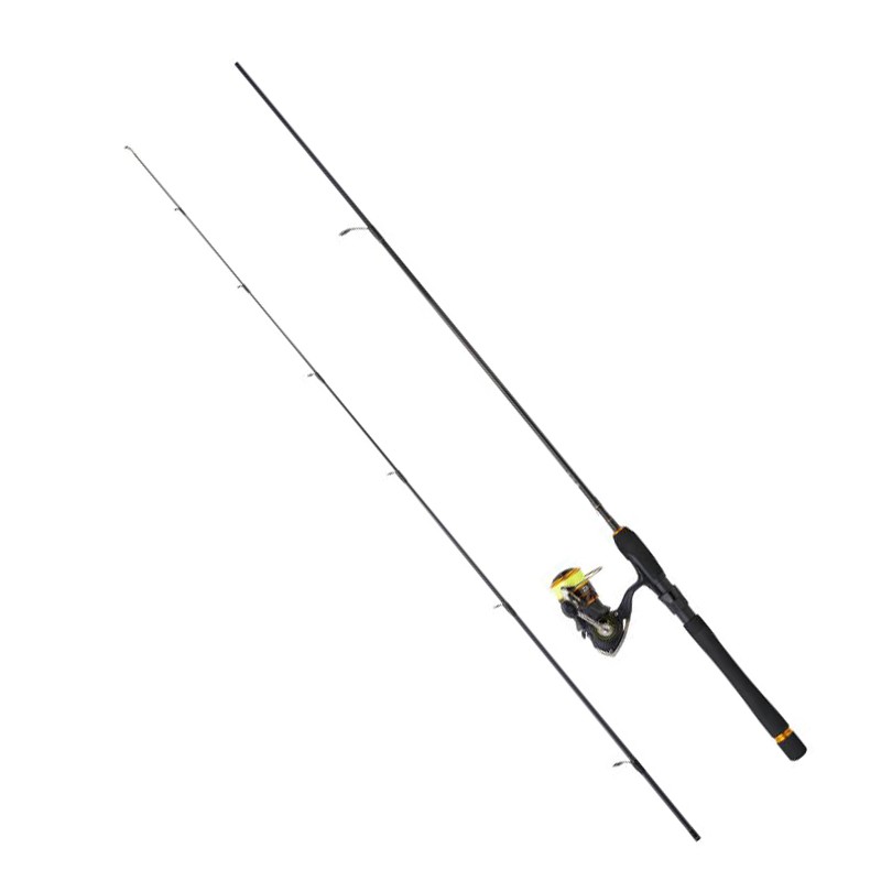 Ensemble Daiwa canne + moulinet