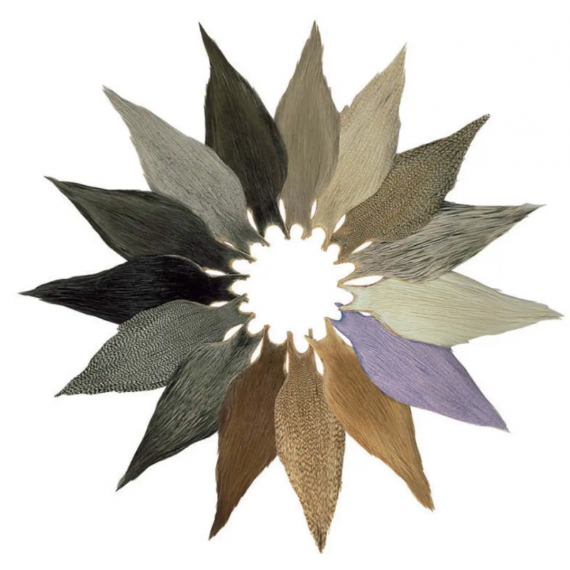 Cou Metz Grade 2 - JMC